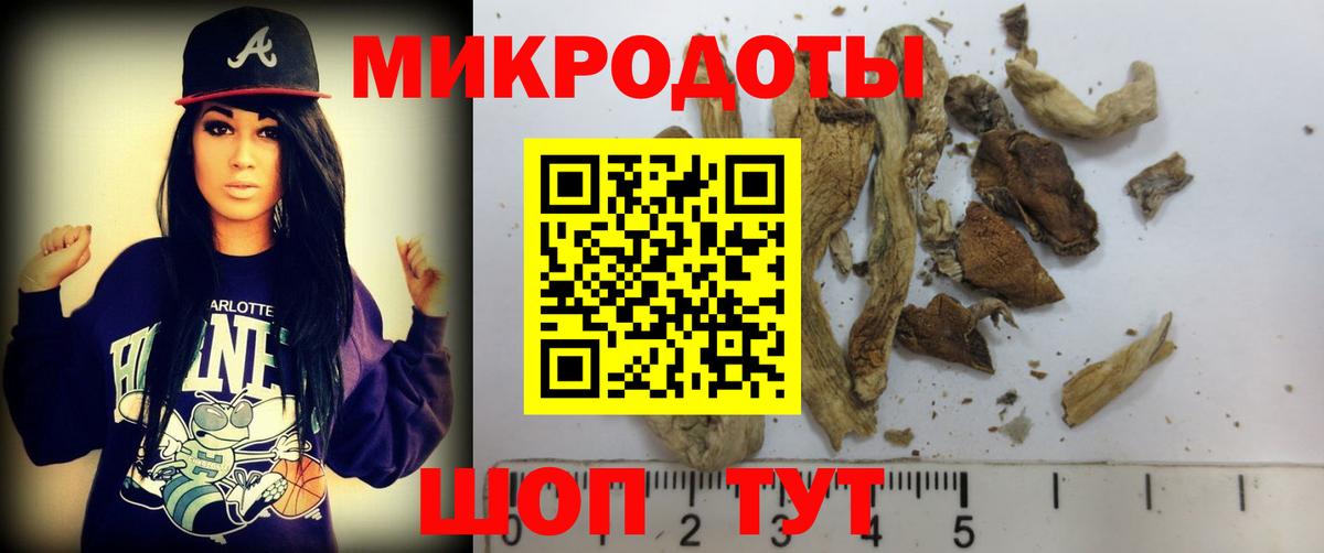 Псилоцибиновые грибы GOLDEN TEACHER  Вход с VPN  Волжск 